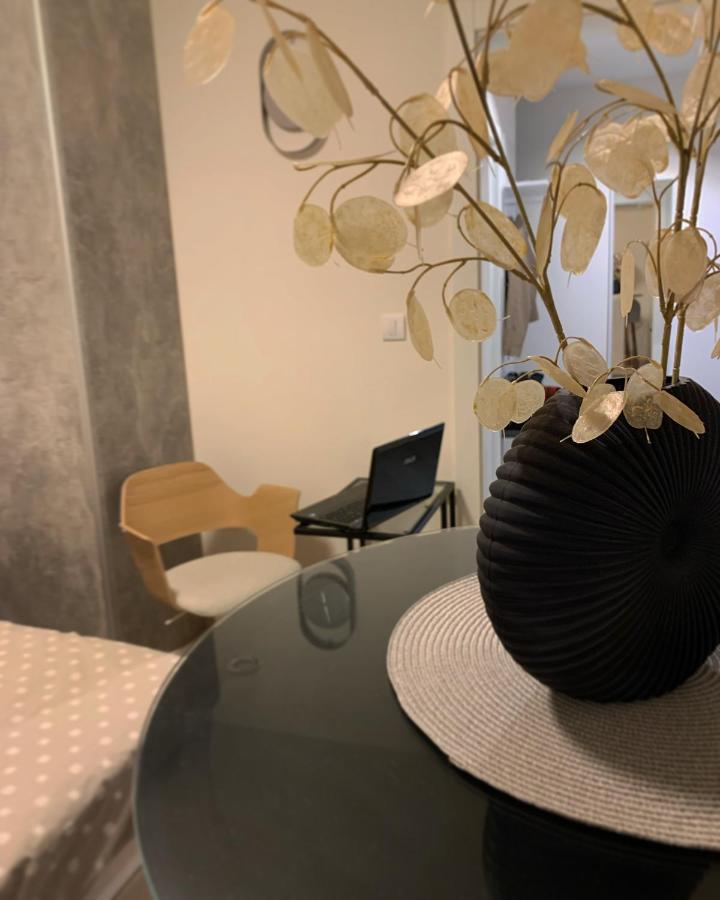 Dm Apartman Beograd エクステリア 写真